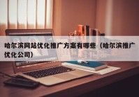 哈尔滨网站优化推广方案有哪些（哈尔滨推广优化公司）