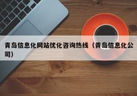 青岛信息化网站优化咨询热线（青岛信息化公司）