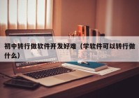 初中转行做软件开发好难（学软件可以转行做什么）