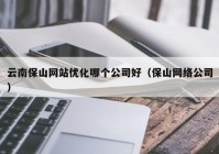 云南保山网站优化哪个公司好（保山网络公司）