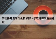 学软件开发学什么技术好（学软件开发有前途吗）