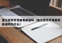 独立软件开发者有前途吗（独立软件开发者有前途吗为什么）