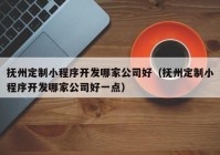 抚州定制小程序开发哪家公司好（抚州定制小程序开发哪家公司好一点）