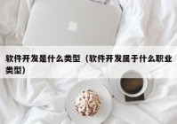 软件开发是什么类型（软件开发属于什么职业类型）