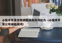 小程序开发文档洲围湖南岚鸿给力（小程序开发公司湖南岚鸿）