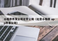 小程序开发公司北京公司（北京小程序 app开发公司）