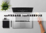 app开发资金预算（app开发需要多少资金）