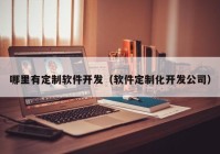 哪里有定制软件开发（软件定制化开发公司）