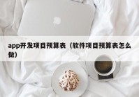 app开发项目预算表（软件项目预算表怎么做）