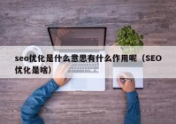 seo优化是什么意思有什么作用呢（SEO优化是啥）