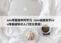 seo零基础如何学习（seo秘籍自学seo零基础知识入门优化教程）