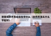 想做软件开发应该先学什么（软件开发从什么学起好）