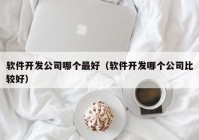 软件开发公司哪个最好（软件开发哪个公司比较好）