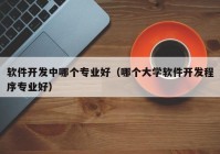 软件开发中哪个专业好（哪个大学软件开发程序专业好）