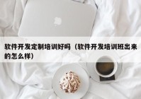 软件开发定制培训好吗（软件开发培训班出来的怎么样）