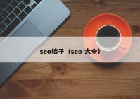 seo桔子（seo 大全）