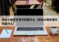 微信小程序开发代码是什么（微信小程序源代码是什么）