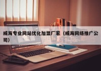 威海专业网站优化加盟厂家（威海网络推广公司）