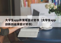 大学生app开发项目计划书（大学生app创新创业项目计划书）