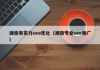 湖南有实力seo优化（湖南专业seo推广）