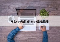 什么seo软件好（seo是啥软件）