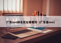 广东seo域名优化哪里好（广东省seo）