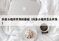 抖音小程序开发的基础（抖音小程序怎么开发）