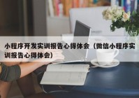 小程序开发实训报告心得体会（微信小程序实训报告心得体会）