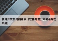 软件开发公司的名字（软件开发公司的名字怎么起）