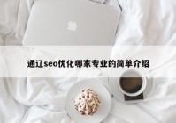 通辽seo优化哪家专业的简单介绍