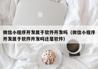 微信小程序开发属于软件开发吗（微信小程序开发属于软件开发吗还是软件）