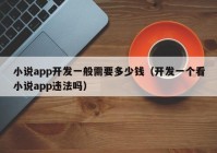 小说app开发一般需要多少钱（开发一个看小说app违法吗）