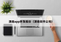 渭南app开发报价（渭南软件公司）