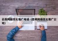 云南网站优化推广电话（昆明网络优化推广公司）