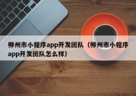 柳州市小程序app开发团队（柳州市小程序app开发团队怎么样）