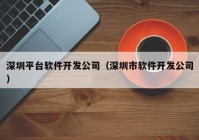 深圳平台软件开发公司（深圳市软件开发公司）