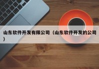 山东软件开发有限公司（山东软件开发的公司）