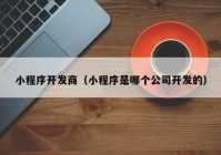 小程序开发商（小程序是哪个公司开发的）