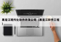 黑龙江现代化软件开发公司（黑龙江软件工程）