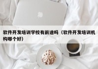 软件开发培训学校有前途吗（软件开发培训机构哪个好）