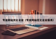 专业网站优化企业（专业网站优化企业服务）