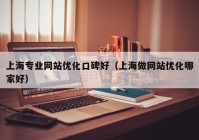 上海专业网站优化口碑好（上海做网站优化哪家好）