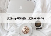 武汉app开发制作（武汉APP制作）