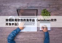 微软应用软件开发平台（windows软件开发平台）