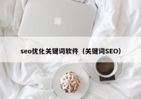 seo优化关键词软件（关键词SEO）