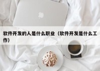 软件开发的人是什么职业（软件开发是什么工作）