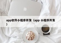 app软件小程序开发（app 小程序开发）