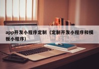 app开发小程序定制（定制开发小程序和模板小程序）