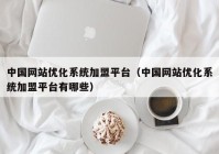 中国网站优化系统加盟平台（中国网站优化系统加盟平台有哪些）