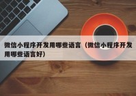 微信小程序开发用哪些语言（微信小程序开发用哪些语言好）